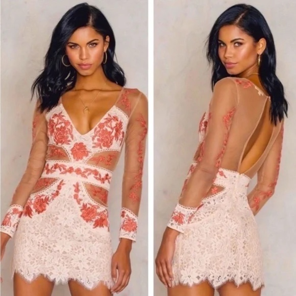 For Love and Lemons Matador Tulle and Lace Mini Dress
